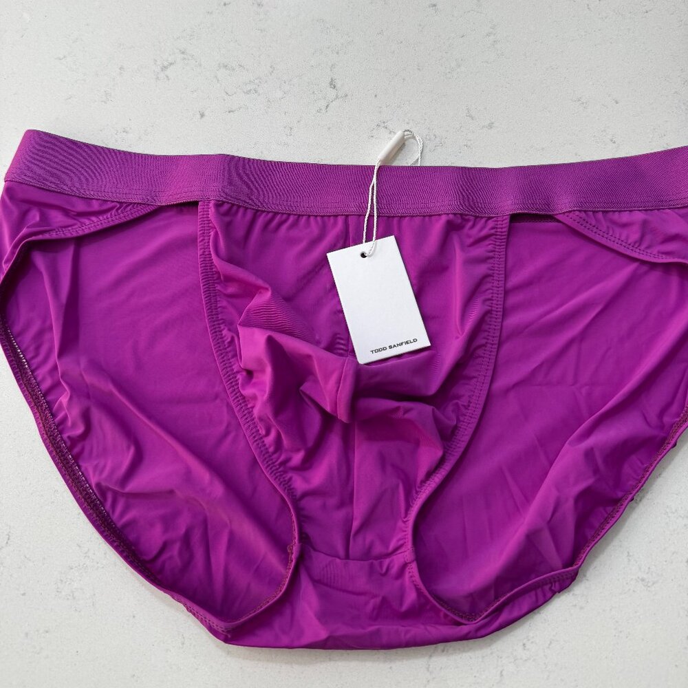 Todd Sanfield Defiant Sport Brief-Prickly Purple